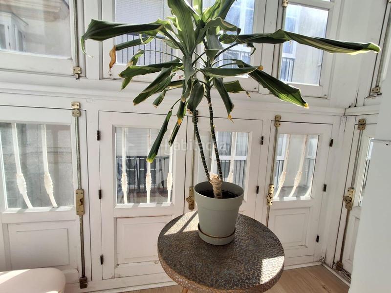 Foto cd3a6dfb-3c3c-4512-a1a1-f3b0f94e60c3. Appartamento in Alameda - Mentidero - Teatro Falla Cádiz