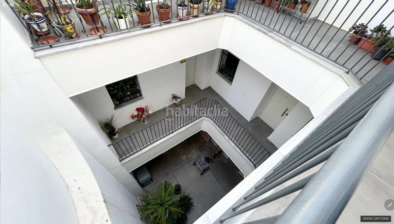 Foto 6590632b-06bb-4e0f-a2b5-526c31c78e65. Pis a Alameda - Mentidero - Teatro Falla Cádiz