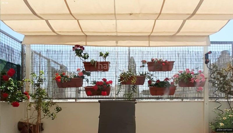 Foto 85b5242c-06bc-45dd-8504-b03c1cc88226. Pis a Alameda - Mentidero - Teatro Falla Cádiz