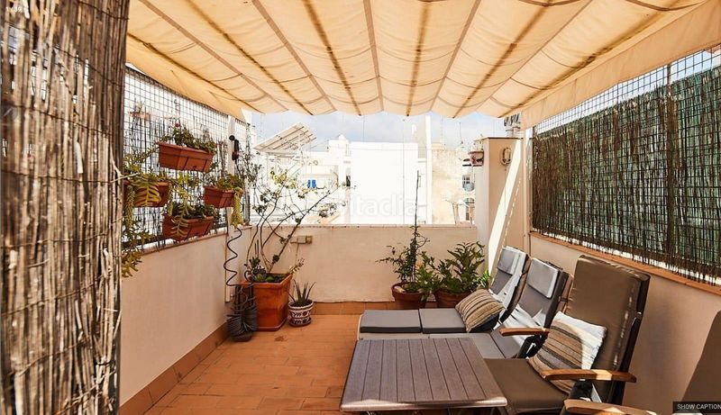 Foto b680dce5-d8eb-4c17-9240-1ae6d2dcb8d3. Pis a Alameda - Mentidero - Teatro Falla Cádiz