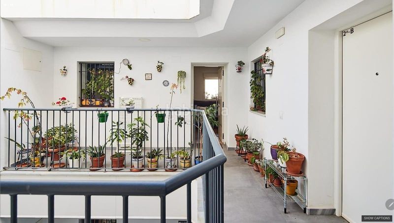 Foto b92ebd27-bbcb-4626-aec3-ca22cf4d9c37. Pis a Alameda - Mentidero - Teatro Falla Cádiz