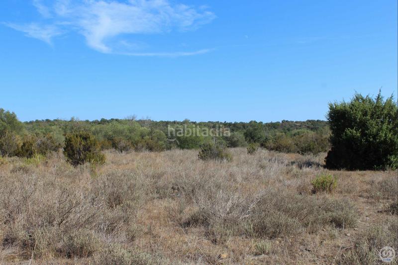 Foto 04653e70-86dd-4402-9959-1ddc07ff67f2. Wohngrundstück in Rabós