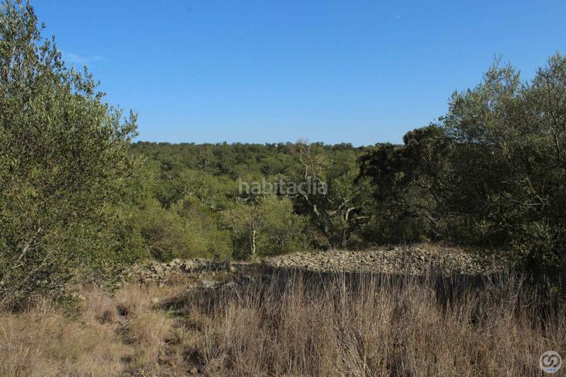 Foto 1d3e3c35-acff-4164-8e6d-8d3bd2f5d949. Wohngrundstück in Rabós