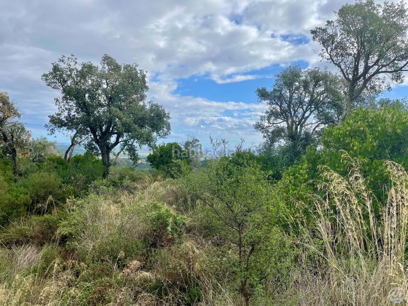 Foto 18c65b55-bfc5-4562-9e43-daa33184bc91. Terreny residencial a Urbanitzacions Platja d´Aro