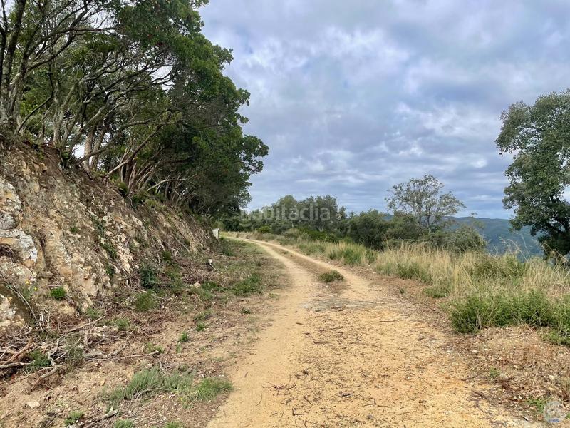 Foto 37209b6f-fc44-48a4-8d19-ede10d827425. Terreny residencial a Urbanitzacions Platja d´Aro