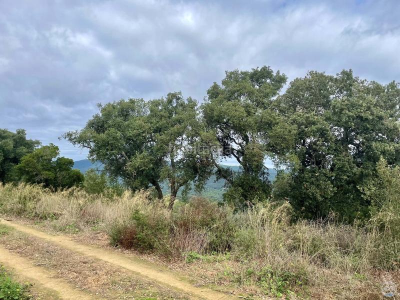 Foto 59ddf783-9748-4740-bb15-a5fd61a494f4. Terreny residencial a Urbanitzacions Platja d´Aro