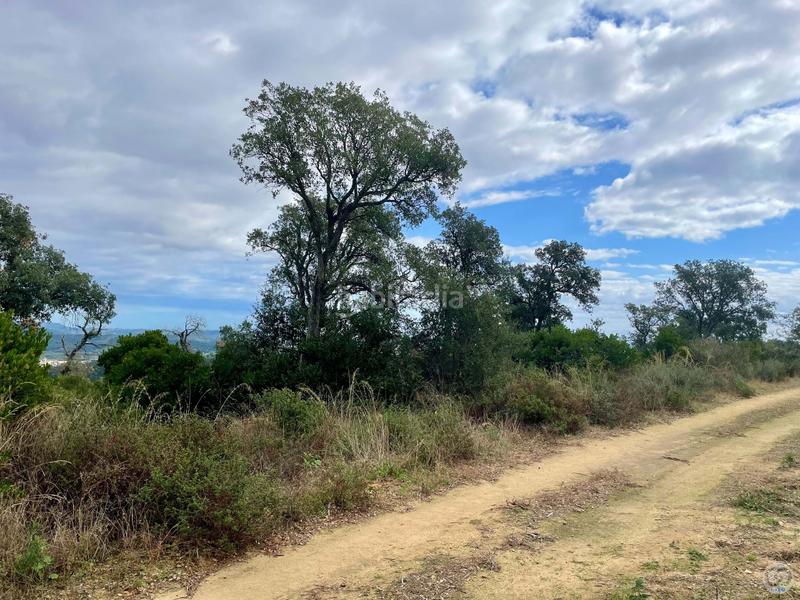 Foto cf377abf-11f9-4356-a7bb-3d0ec45b64bd. Terreny residencial a Urbanitzacions Platja d´Aro