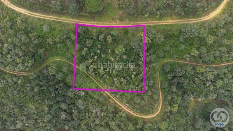 Foto fd6fcc43-34f6-4e7c-911d-f074f5f9b1c4. Terreny residencial a Urbanitzacions Platja d´Aro