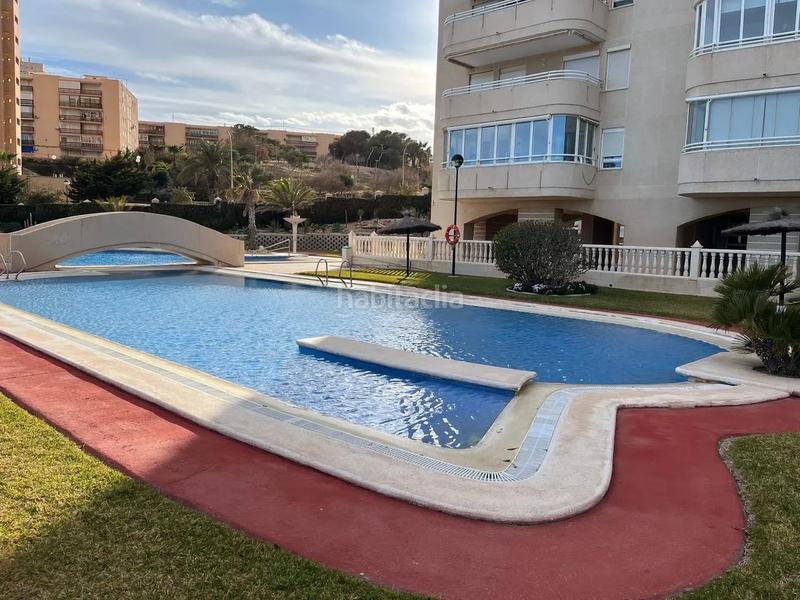 Foto 241bb7a6-8df8-453f-bf45-628481325c4f. Rent flat with parking pool in Playa Muchavista Campello (el)