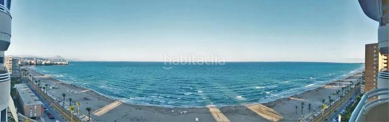 Foto f3ed0819-9d93-4161-aefe-0bef489cc792. Rent flat with parking pool in Playa Muchavista Campello (el)