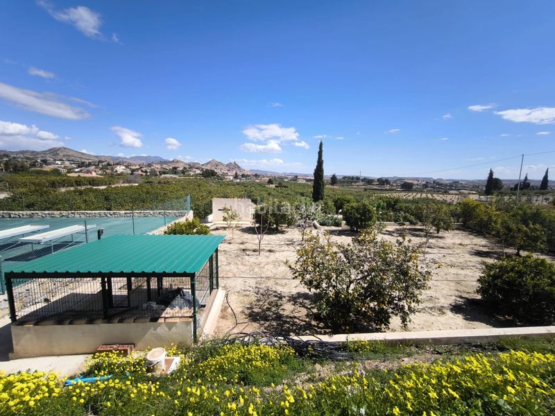 Foto 0f214a99-0164-4399-8928-cb4ef3a13e0d. Xalet amb calefacció aparcament piscina a Mula