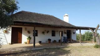 Masia a Villamanrique de la Condesa. Casa campo en venta en sevilla aljarafe  villa manrique de la co