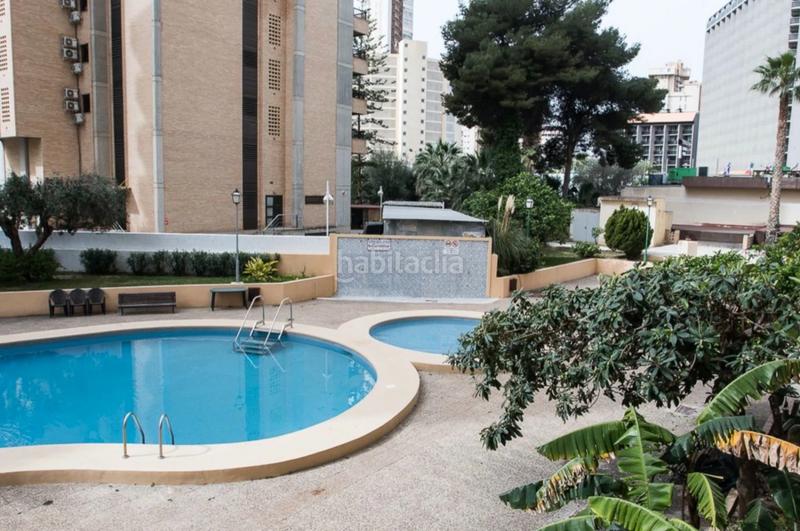 Foto fbaaec93-b4ca-44b4-b313-1f6e42dbe5dc. Miete appartement mit heizung parking pool in Levante Alto Benidorm