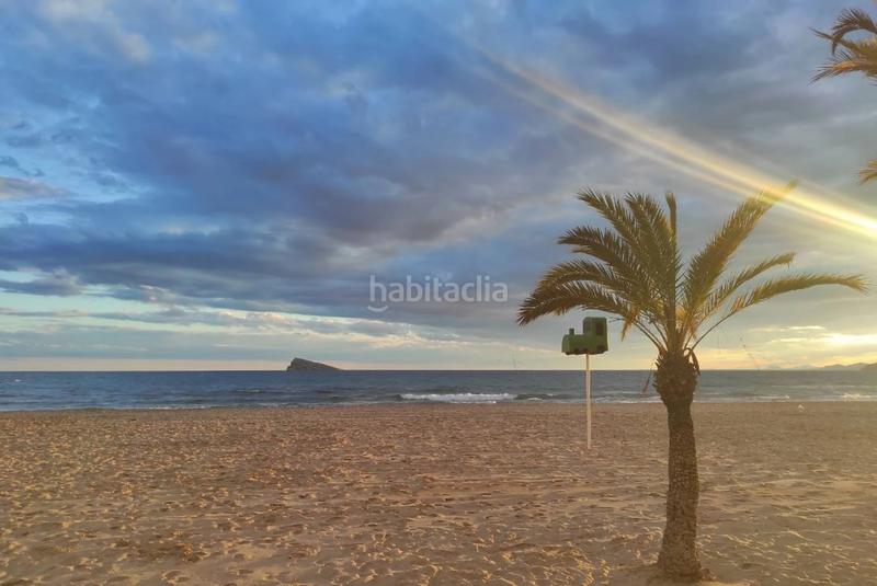 Foto b5bd7ecf-3dde-4379-9495-5137c51fe5a4. Alquiler apartamento  en alquiler levante playa de levante en Benidorm
