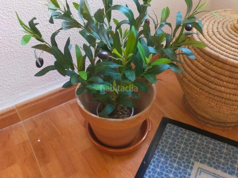 Foto 5fbd9af8-82a1-4ce3-b92f-50bc95d50800. Miete etagenwohnung in Los Castillejos - La Trinidad Málaga