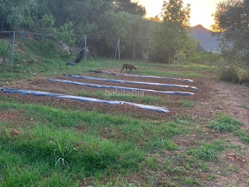 Foto 0efcdbcc-b284-4136-afe1-fd9f2f7c8475. Chalet con riscaldamento parcheggio piscina in Urbanizaciones Gandia