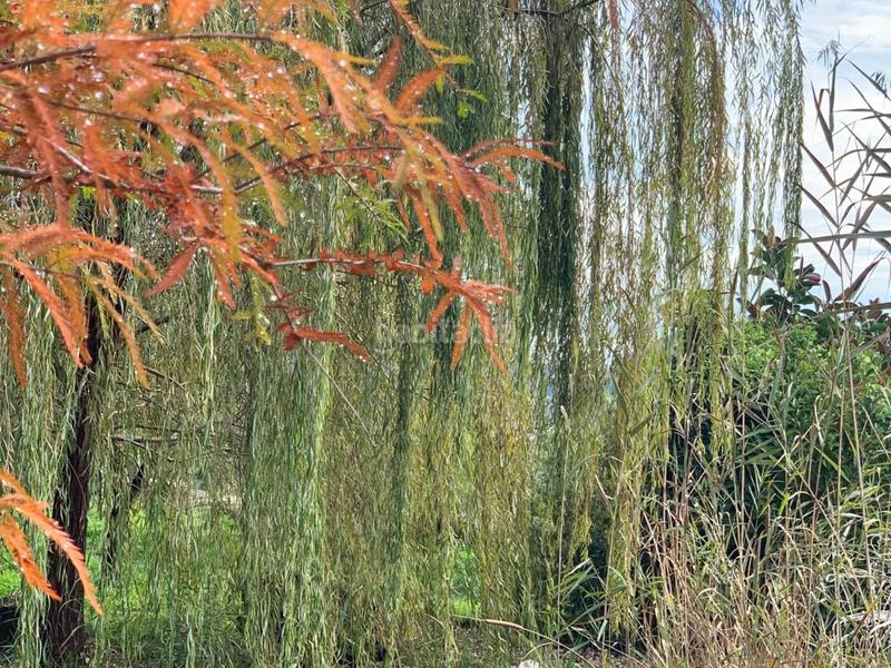 Foto 8e29a38d-61bf-49e7-a055-96a43c093768. Chalet con riscaldamento parcheggio piscina in Urbanizaciones Gandia