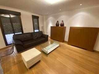 Lloguer Apartament a Centro. Apartamento en alquiler en bajo vinalopó  elche centro