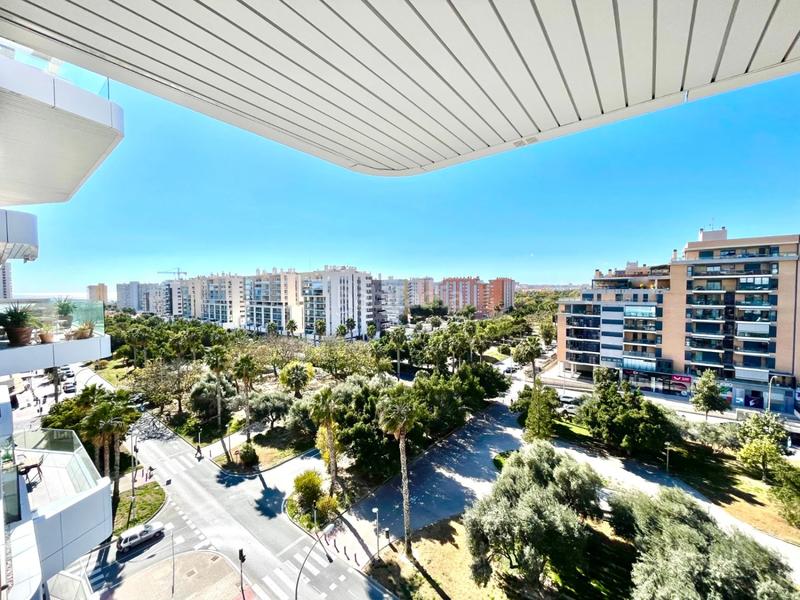 Foto 2b9ff2b6-3426-42ed-97a2-1555a1a6d71d. Alquiler piso  en alquiler norte playa muchavista en Alicante