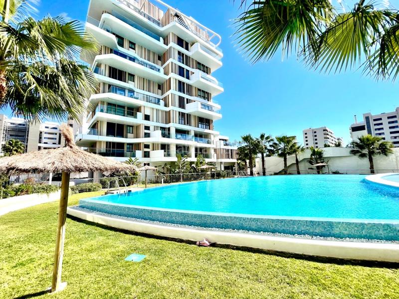 Foto 8564f27c-4d61-4444-8649-425e95d7ce3f. Alquiler piso  en alquiler norte playa muchavista en Alicante