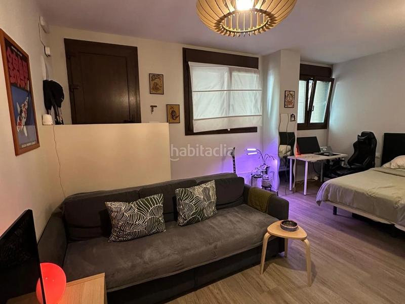 Foto 0bdd5bc8-3387-45f8-b732-d848a73487a8. Rent studio in Gibralfaro Málaga