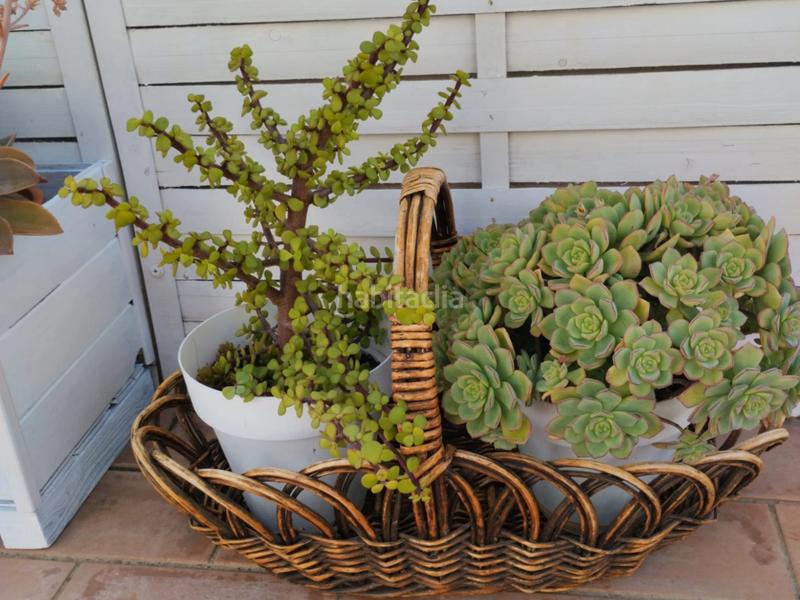 Foto 557d9472-a9bb-4a8d-9ae0-9c2491e75174. Àtic amb aparcament piscina a La Angelita Puerto de Santa María (El)