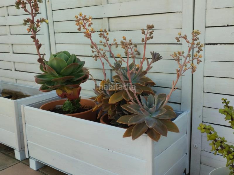 Foto f5c4e2c0-92c1-4e6e-88d5-5973c1ff8b68. Àtic amb aparcament piscina a La Angelita Puerto de Santa María (El)