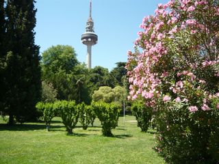 Rent Penthouse in Fuente del Berro. Ático en alquiler en madrid barrio de salamanca  fuente del berr
