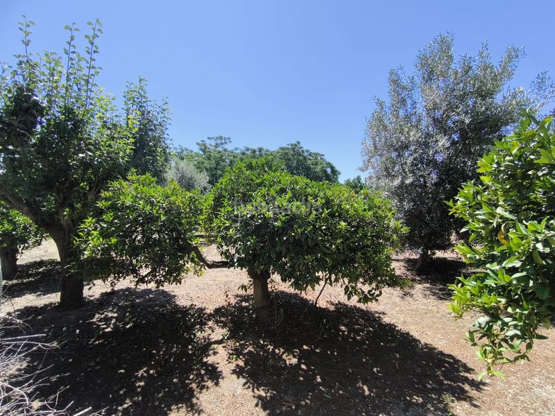 Foto 761b8a21-f20b-44e0-a56a-62395fbdce30. Casa amb calefacció aparcament a Rincón de Seca Murcia