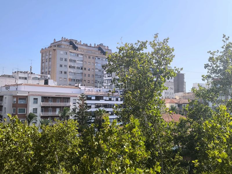 Foto 5d99a60f-b7b4-4df7-bb2b-9d5e2a721437. Pis a San Miguel Murcia