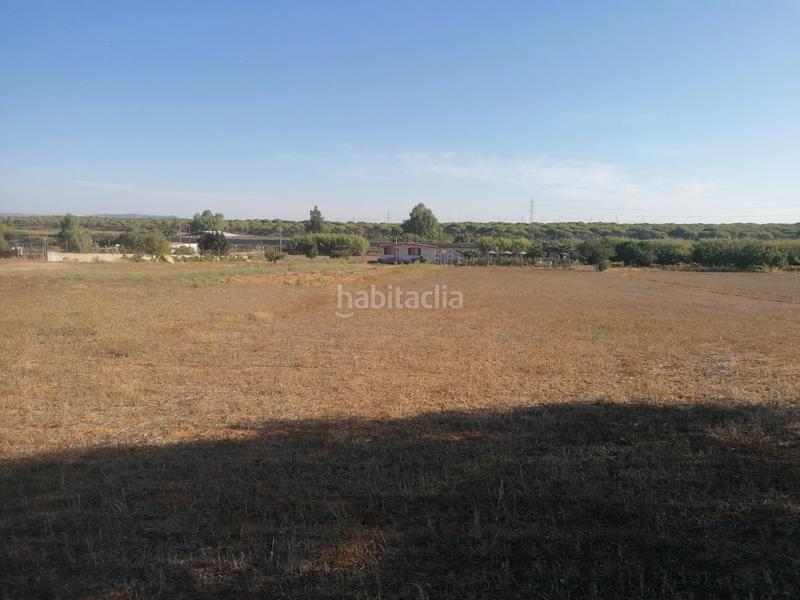 Foto 010dbb01-2e5d-467d-9936-a184b1456ad6. Masía casa campo en venta en cádiz en Las Canteras Puerto Real