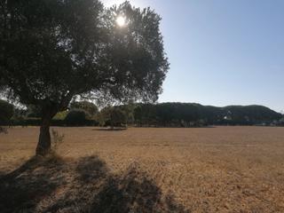 Masia a Las Canteras. Casa campo en venta en cádiz  puerto real