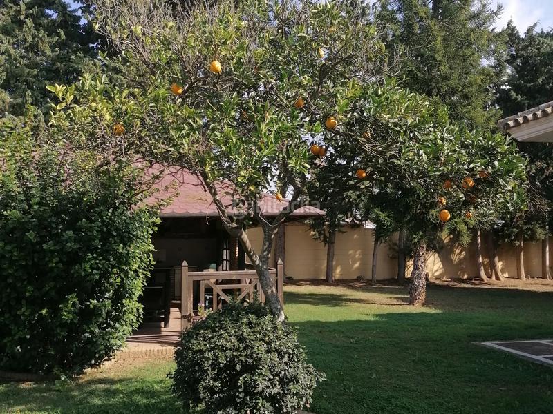 Foto 93fbdd54-0ed9-4afc-ae27-42d78bb6f7ea. Chalet avec chauffage parking piscine dans Las Lagunas - Campano Chiclana de la Frontera