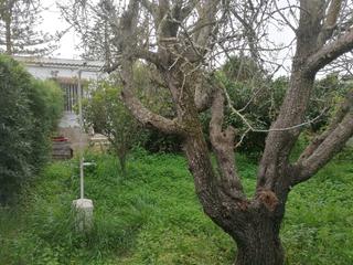 Masia a Roche. Casa campo en venta en chiclana  conil