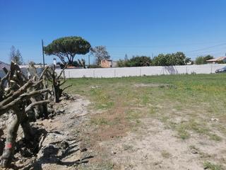 Terreny residencial a Barrio Nuevo. Terreno en venta en chiclana  barrio nuevo