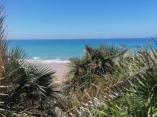 Terreny residencial a Conil. Terreno en venta en chiclana playa fuente del gallo