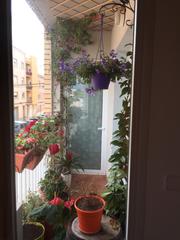 Piso en Pueblo. Venta de piso amueblado 2 hab en benicarl