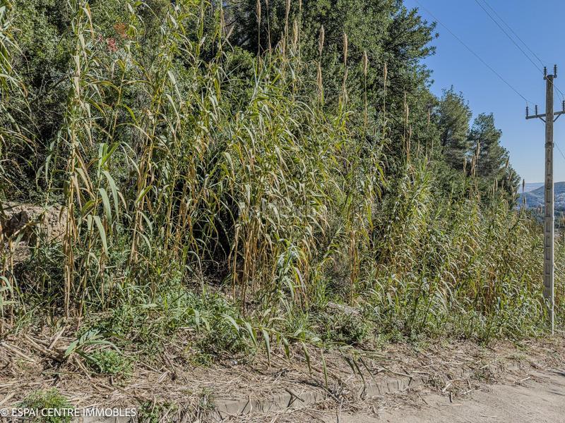 Foto 693fa40e-f03e-4e40-a910-e66867b76482. Wohngrundstück in calle vilafranca conflent cp1f 26 in Cervelló