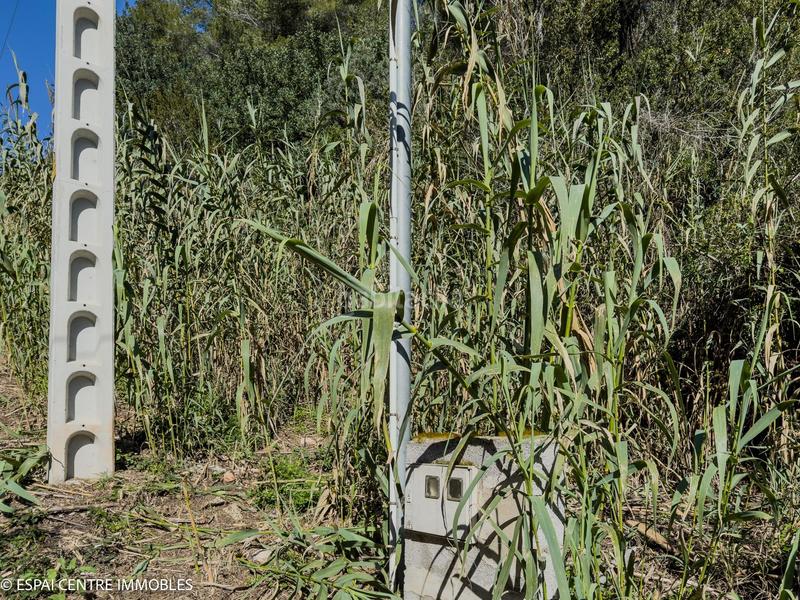Foto fcbe301c-8e2a-4e8c-8c50-513fa0024447. Wohngrundstück in calle vilafranca conflent cp1f 26 in Cervelló