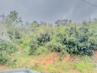 Terreno residencial en Calle pau casals 9. Parcela urbana de 553m para construir en sant vicens dels horts