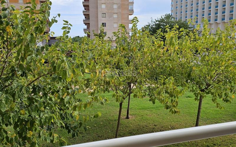 Foto 3c061da0-5652-4d46-8ce7-c0ede20b3504. Apartament a barcelona 6 a Playa Morros de Gos Oropesa del Mar