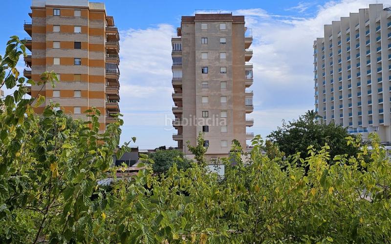 Foto 9c7bfa97-3d9e-4ceb-a169-b5484b135bc2. Apartament a barcelona 6 a Playa Morros de Gos Oropesa del Mar