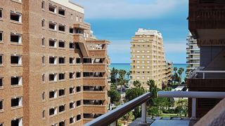 Apartament en Central 26. Playa coral i