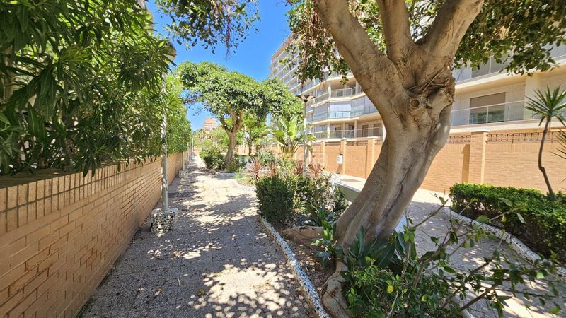 Foto e846c2ec-287b-466e-9fcd-a4d3d30b25bd. Apartament a amplaries 35 a Vista Mar Oropesa del Mar