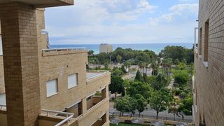 Apartament a Central 46