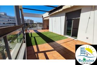 Alquiler Ático  Cartuja. Atico! terraza 90 m2! dos parking subt! trastero!