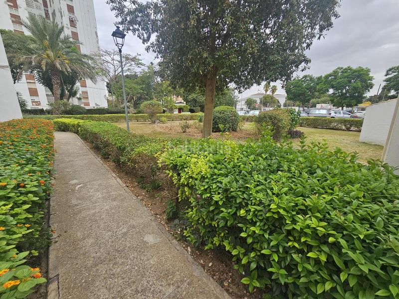 Foto 695d42ab-0f23-449f-a388-eb3aa0a84e50. Rent flat in Pago San José - Princi - Jerez Jerez de la Frontera