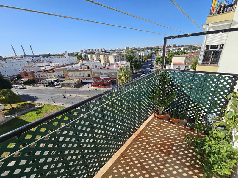 Foto 03613c24-1ca6-48df-bff9-61b67a529c99. Rent flat in Pago San José - Princi - Jerez Jerez de la Frontera