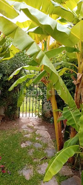 Foto c0481fba-94fb-42a6-87e5-6ff3a8aa2f34. Reihenhaus mit kamin pool in marina de Casares Casares