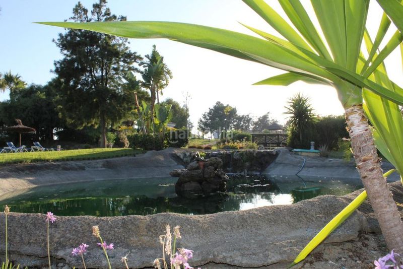 Foto c2ee20eb-3d0e-4601-82d6-cf0aff44e169. Apartament amb calefacció aparcament piscina a La Duquesa Manilva